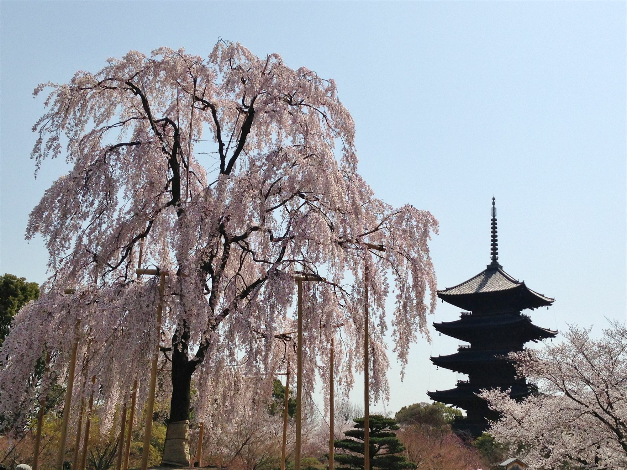 Hotel Livemax Kyoto Gojo Kültér fotó